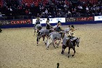 Quadrille - 00810